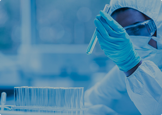 技術支持與服務